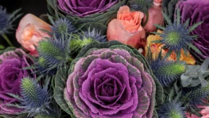 Posadź te rośliny na balkonie. Nie boją się chłodu i kwitną całą jesień