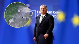 "Putinowska dacza" Orbana wywołała skandal. Na trawniku zebry