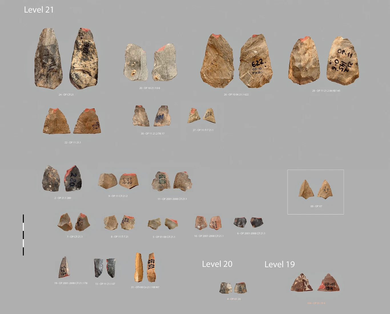 Kamienne narzędzia archeologiczne ułożone w rzędach na szarym tle, podzielone na różne poziomy wykopalisk, widoczne różne kształty i rozmiary artefaktów oraz oznaczenia liczbowe lub literowe.