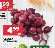 Cebula czerwona