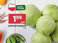 Kapusta biała Polski