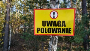 Wypadek podczas polowania (zdj. ilustracyjne)