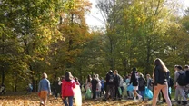 Grupa ludzi, głównie młodzież i dzieci, sprząta park jesienią, trzymając worki na śmieci, otoczona żółtymi i złocistymi liśćmi oraz wysokimi drzewami.