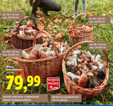 Kosz Wikpol