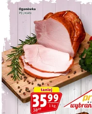 Ogonówka Pelikan