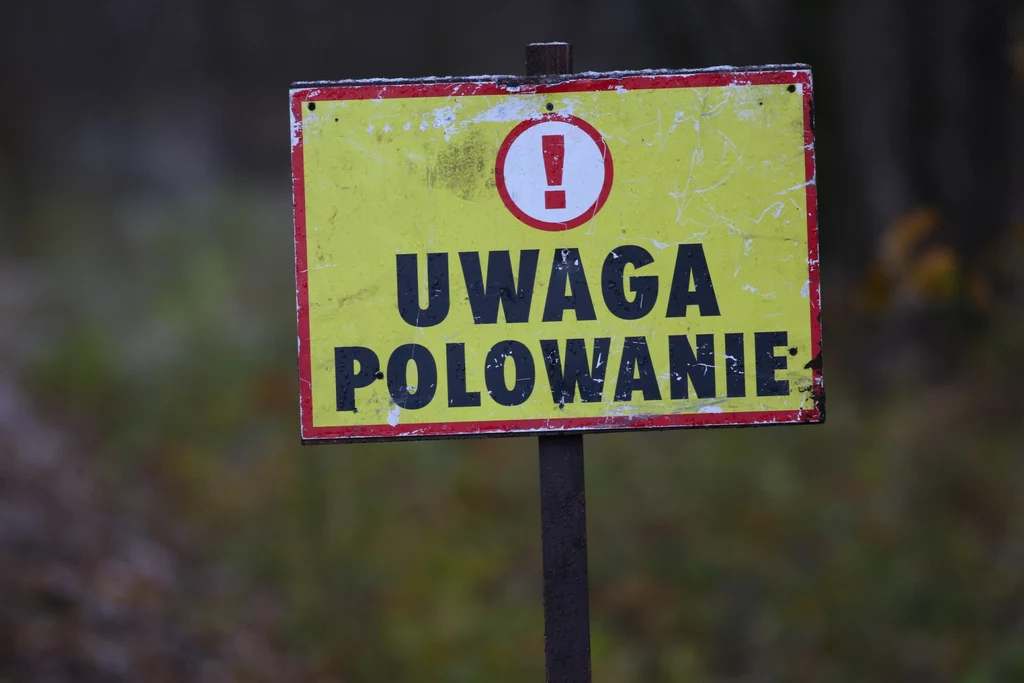 W woj. warmińsko-mazurskim doszło do wypadku po polowaniu W woj. warmińsko-mazurskim doszło do wypadku po polowaniu