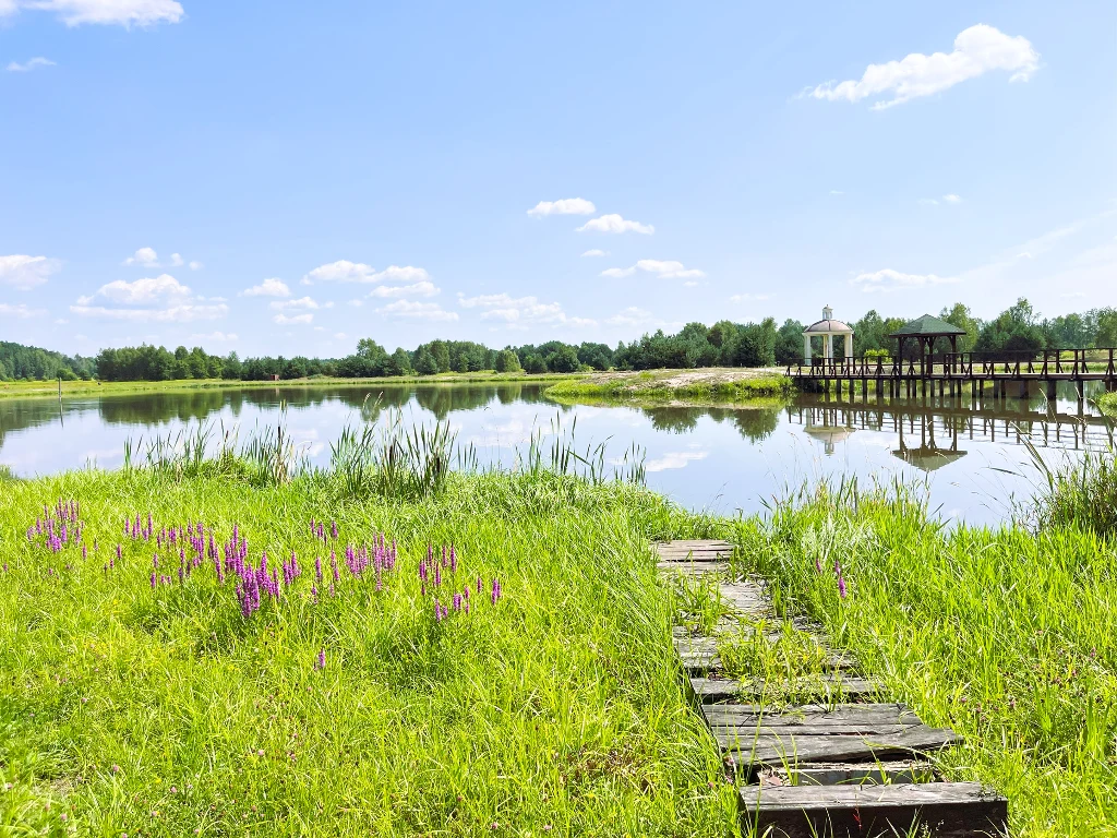 Jezioro otoczone zieloną trawą i dzikimi kwiatami, po lewej stronie drewniany pomost prowadzący do wody, w tle drewniana altana i pomost nad jeziorem, słoneczna pogoda z błękitnym niebem i kilkoma chmurami.