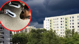 Hit łazienek i korytarzy w PRL. Zapomniane, dziś kosztuje spore pieniądze