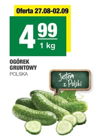 Ogórek Polski