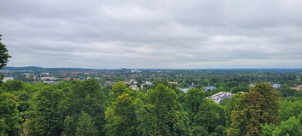 Panorama miasta widziana znad rozległego obszaru zielonych drzew, w oddali rozpościera się zabudowa mieszkalna oraz fragmenty infrastruktury miejskiej pod pochmurnym niebem.