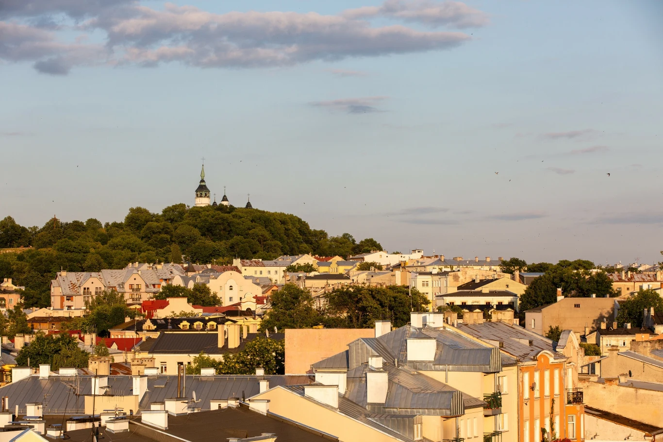 Widok na Górę Zamkową z bazyliką kolegiacką Narodzenia Najświętszej Maryi Panny w Chełmie Panorama miasta z zabudową mieszkalną o jasnych fasadach, na dalszym planie zalesione wzgórze z widocznymi wieżami kościoła pod błękitnym, lekko zachmurzonym niebem.