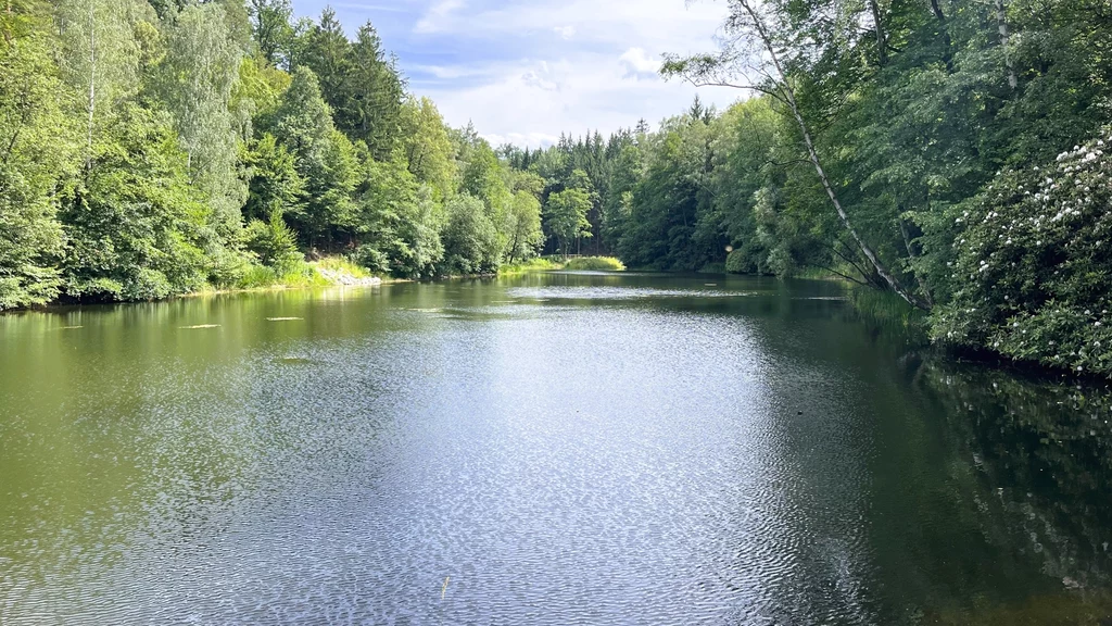 Moja Fantazja to ukryta pośród wałbrzyskich lasów pustelnia księżnej Daisy. Po przytulnych chatkach nic nie zostało, ale wciąż można odpoczywać nad stawem Spokojna tafla jeziora otoczona gęstymi, zielonymi drzewami pod jasnym, lekko zachmurzonym niebem, brzeg porośnięty trawami i krzewami, w tle widać gęsty las.