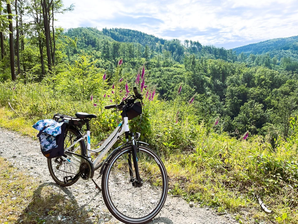 Trasa MTB po Górach Sowich jest dość wymagająca, ale widoki wynagradzają wysiłek Rower z sakwami stoi na żwirowej ścieżce przy lesie, w tle rozciąga się zalesiony pagórkowaty krajobraz pod błękitnym niebem z chmurami.