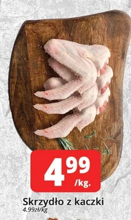 Качине крило