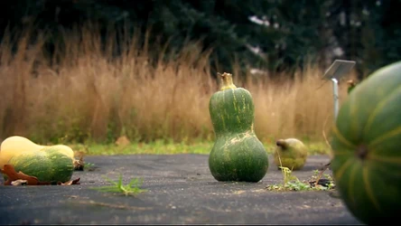 Czysta Polska - odc. 82