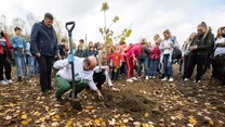 Grupa ludzi sadzi młode drzewo na terenie pokrytym jesiennymi liśćmi, wokół panuje atmosfera współpracy i zaangażowania, wszyscy skupieni są na akcji ekologicznej.