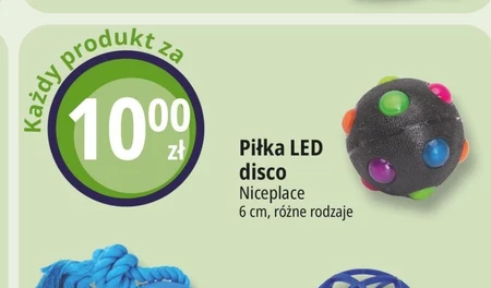 Piłka led