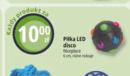 Piłka led