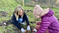 Dwie osoby w rękawiczkach sadzą cebulki lub rośliny na zielonej trawie, otoczone jesiennym krajobrazem oraz metalowym ogrodzeniem w tle.