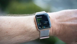 Apple może mieć problemy. Sąd potwierdził, że stosują ekościemę