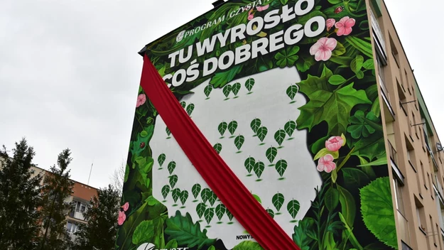 Kolorowy mural z motywem zieleni oraz różowych kwiatów na ścianie budynku mieszkalnego, z wyraźnym napisem 'Tu wyrosło coś dobrego'. Element dekoracyjny stanowi czerwona wstęga częściowo osłaniająca centralną część kompozycji. W dolnej części znajduje ...