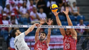 Mecz Serbia - Argentyna