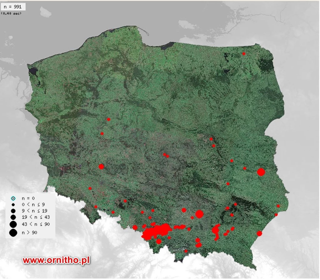Mapa Polski z naniesionymi czerwonymi kropkami o różnej wielkości, wskazującymi lokalizacje i intensywność występowania określonego zjawiska terenowego, najwięcej znaczników widocznych jest na południu kraju.