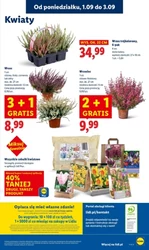 Вересень, сповнений ароматів - Lidl