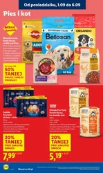 Вересень, сповнений ароматів - Lidl