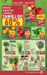 Tydzień mega oszczędności!- Aldi