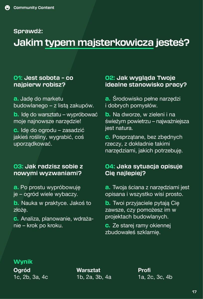 Gazetka: Magazyn DIY - Lidl - strona 17