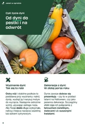 Magazyn DIY - Lidl