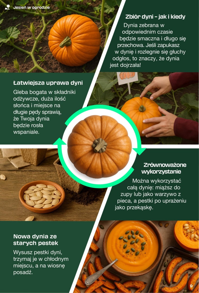 Gazetka: Magazyn DIY - Lidl - strona 9