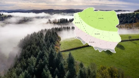 Poranne mgły mogą się utrzymać lokalnie na północy. Z czasem w Karpatach pojawi się więcej burz