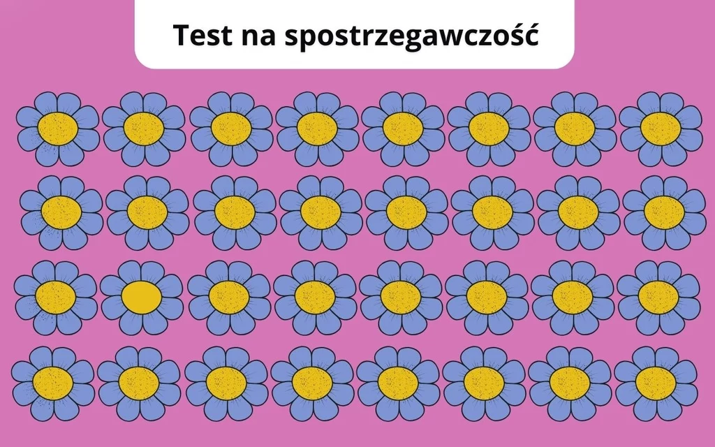 Test na spostrzegawczość: Czy uda ci się znaleźć tak drobną różnicę? Test na spostrzegawczość: Czy uda ci się znaleźć tak drobną różnicę?