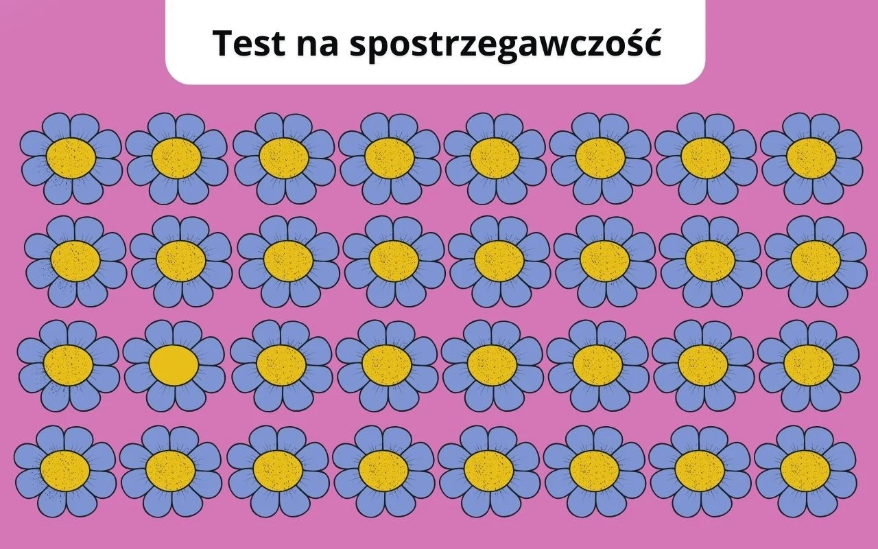 Test na spostrzegawczość: Czy uda ci się znaleźć tak drobną różnicę? Rzędy rysunkowych kwiatów o żółtych środkach i fioletowych płatkach na różowym tle z napisem test na spostrzegawczość na górze.