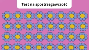 Masz wzrok jak lupa? Trudny test na spostrzegawczość