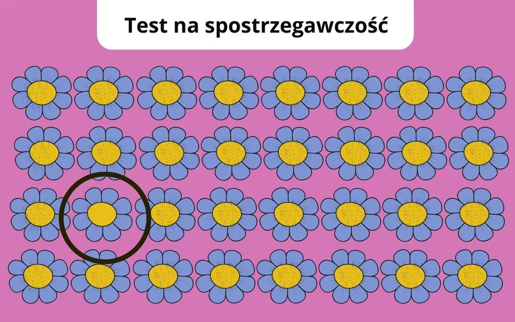 Rozwiązanie Rysunkowe kwiaty o niebieskich płatkach i żółtych środkach na różowym tle, wszystkie jednakowe poza jednym w środkowym rzędzie, który został oznaczony czarnym okręgiem.