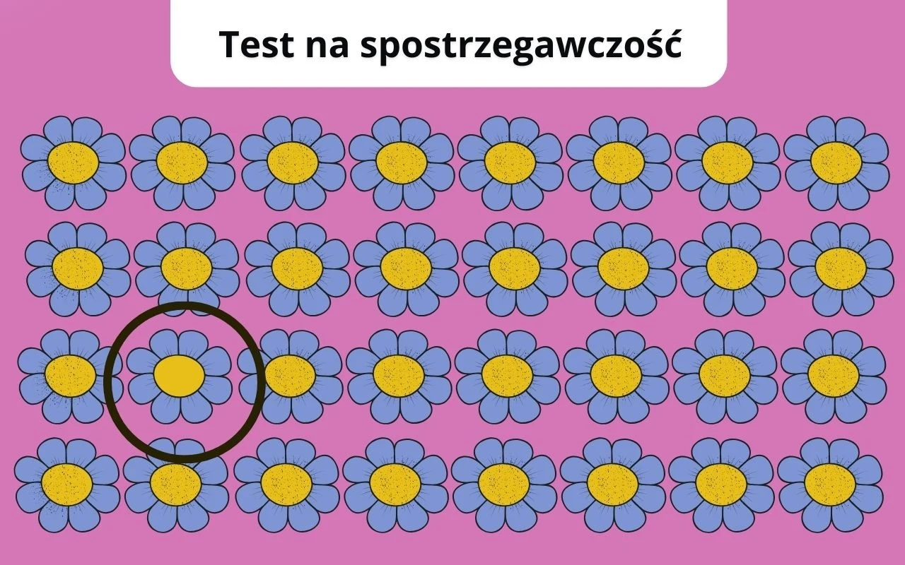 Rozwiązanie Rysunkowe kwiaty o niebieskich płatkach i żółtych środkach na różowym tle, wszystkie jednakowe poza jednym w środkowym rzędzie, który został oznaczony czarnym okręgiem.