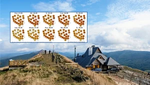 Lato nie podda się bez walki. Do Polski jeszcze wrócą upały