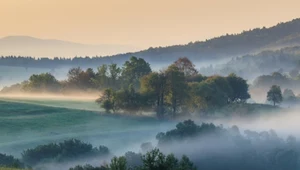 Rzuć wszystko i jedź na Podkarpacie. Tutaj nie tylko Bieszczady wołają o zachwyt 