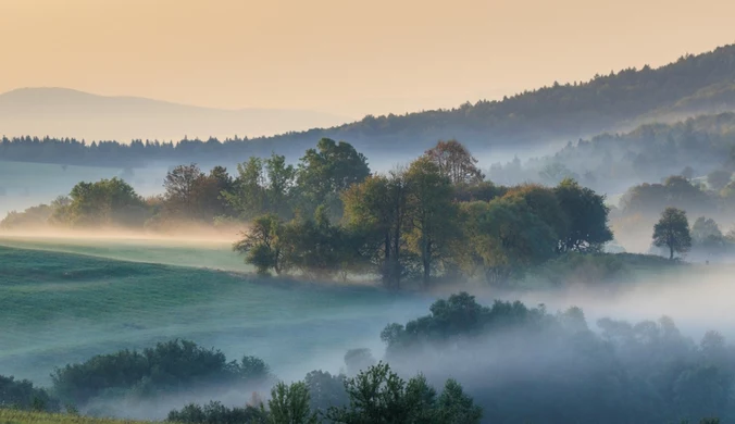 Rzuć wszystko i jedź na Podkarpacie. Tutaj nie tylko Bieszczady wołają o zachwyt 
