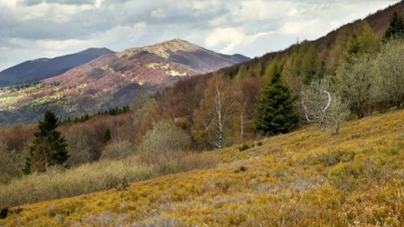 Na jakie szlaki warto się udać w Bieszczadach jesienią?