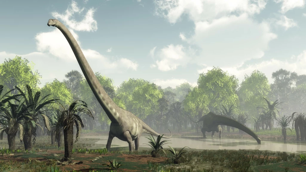 W Chinach znajduje się wiele dużych dinozaurów. Przykładem jest mamenchizaur W Chinach znajduje się wiele dużych dinozaurów. Przykładem jest mamenchizaur