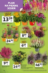Odlotowe ceny na start szkoły - Auchan