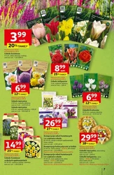 Odlotowe ceny na start szkoły - Auchan