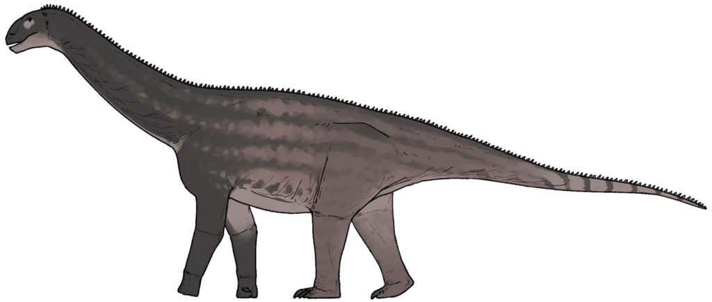 Tak mógł wyglądać Huashanosaurus - zauropod z Chin Duży dinozaur roślinożerny o długiej szyi i ogonie, ciemnoszary z jasnymi pręgami na grzbiecie, masywne ciało na czterech nogach.