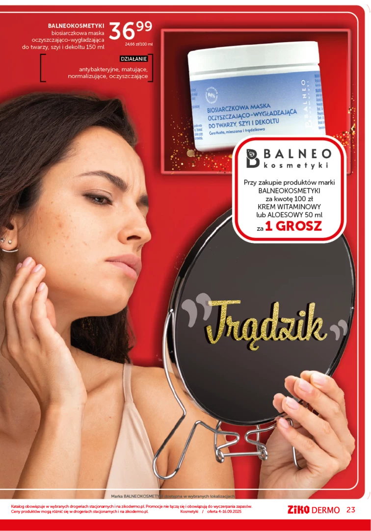 leaflet page preview image