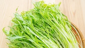 Mizuna, czyli sałata japońska.