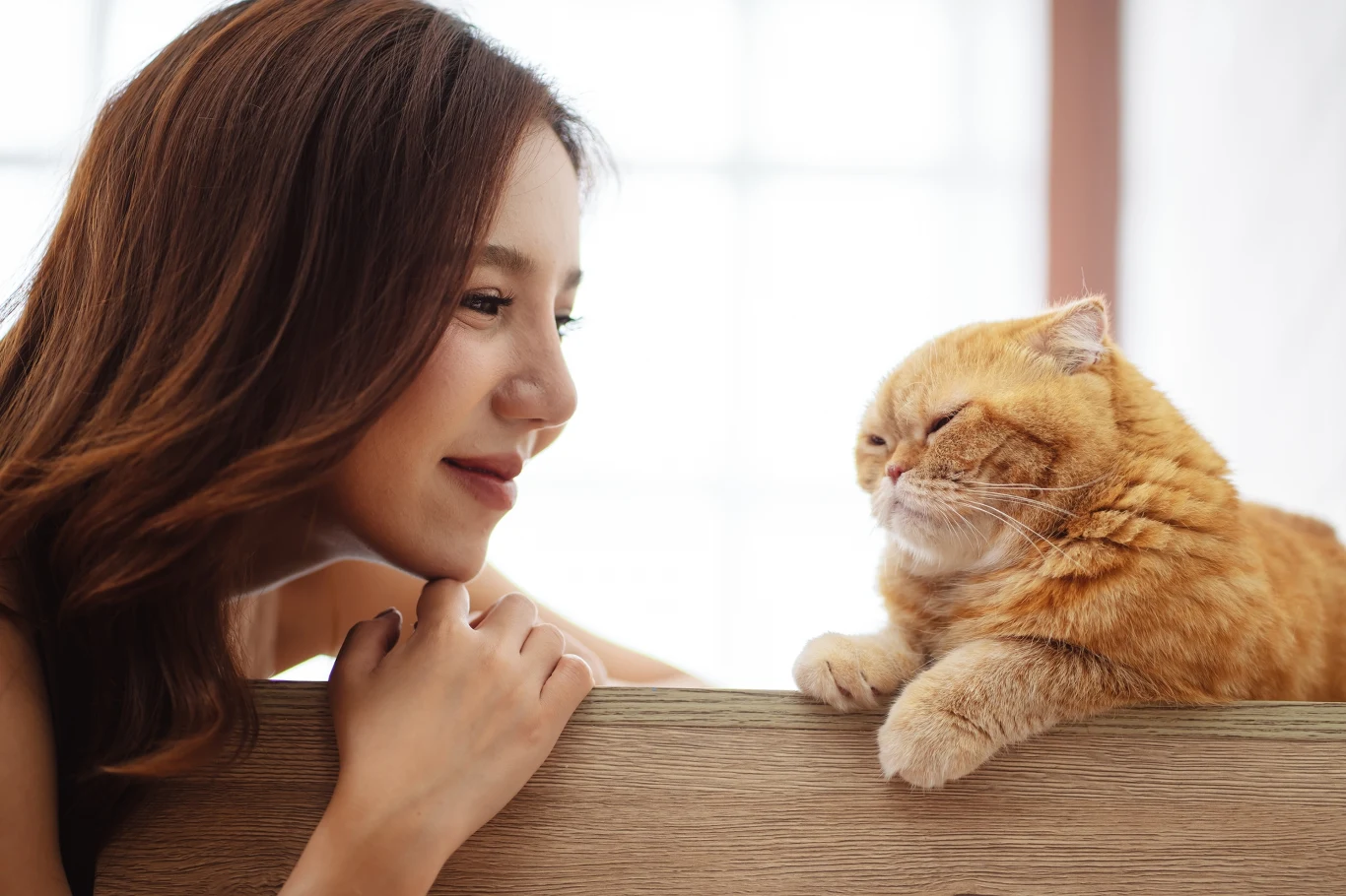 Jeśli twój kot mruga do ciebie, to znaczy, że cię lubi Młoda kobieta patrzy z uśmiechem na rudego kota leżącego wygodnie na drewnianej powierzchni, oboje wydają się zrelaksowani i spokojni.